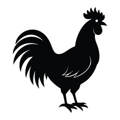 Black silhouette of a rooster with a detailed tail and comb chicken bird