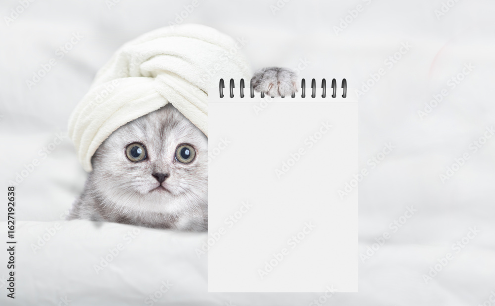 Poster cute kitten with towel on his head relaxing on the bed at spa salon and showing blank notepad. top d