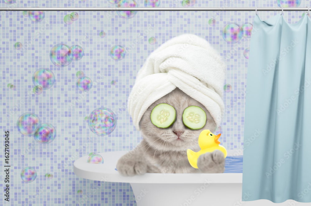 Poster cute kitten with towel on it head and slices of cucumber on it eyes takes the bath at home with rubb