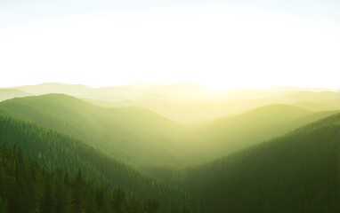 Fototapeta premium Verdant forest covering rolling hills vista