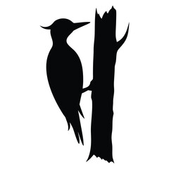 Black silhouette of a woodpecker perched on a tree trunk bird