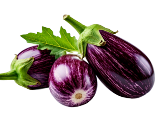 Fresh graffiti eggplants display beautiful purple stripes and vibrant green leaves against a.png
