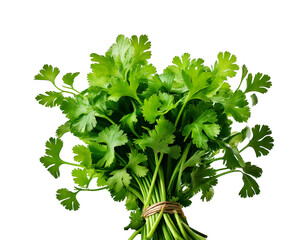 Fresh Vibrant Cilantro Bunch with Glossy Leaves isolated on transparent background. Generati.png