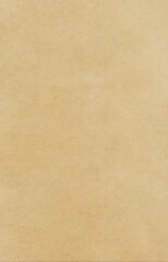 Fototapeta premium Subtle textured beige blank paper surface