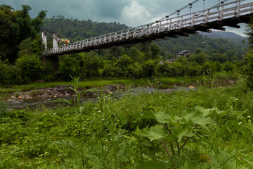 A scenic view of a suspension bridge gracefully spanning a calm river in himachal pradesh, india, framed by lush green vegetation and a mountainous backdrop beneath cloudy skies.