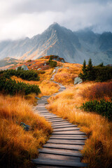 Mountain Ridge Path Ascent Through Orange Grass Misty Peaks.