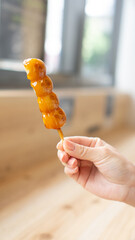 Hand holding dango sweet treat
