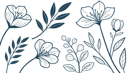 vector illustration of a floral background