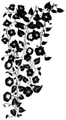 Morning glory vine silhouette border decoration © safri