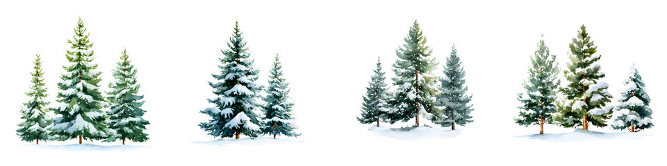 Obraz premium Watercolor Christmas Trees Set - Winter Holiday Illustration on White