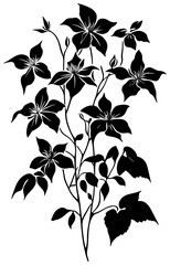 Clematis vine silhouette corner border decoration