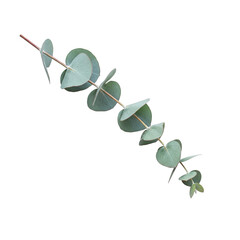 branch with leaves