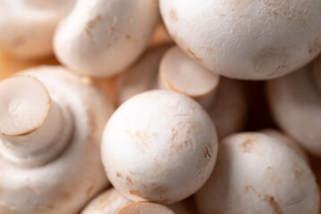 White Button mushroom or Champignon mushroom (Agaricus bisporus) texture background, Food ingredient