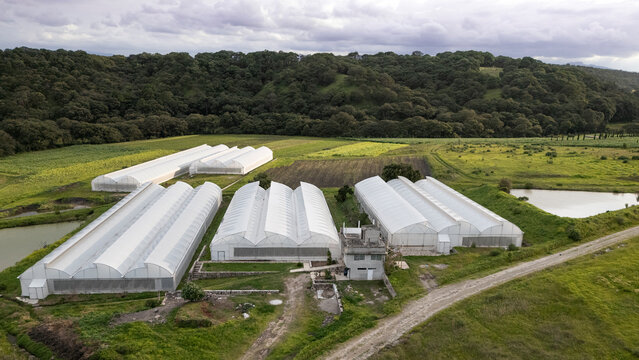 Drone view of greenhouses 