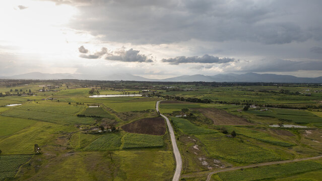 Drone view of green fields 