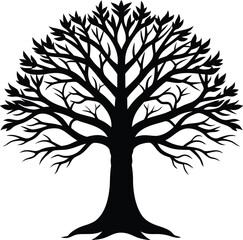 Obraz premium Large tree with spreading branches silhouette isolated on transparent background