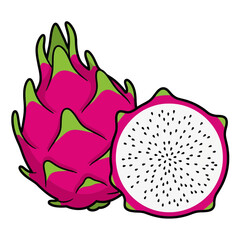 Fresh tropical dragon fruit illustration, whole and a cut half showing white pulp and seeds. Vector icon for healthy eating concepts.