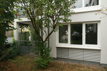 Tree is in front of a building with a white window