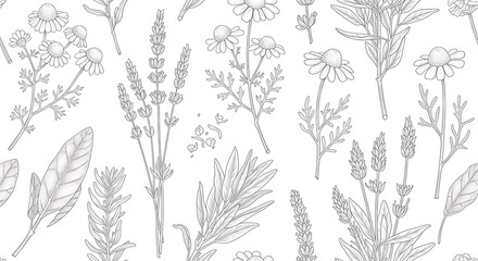 Monochromatic handdrawn botanical seamless pattern featuring chamomile flowers lavender sprigs and various herbal leaves with delicate shading.
