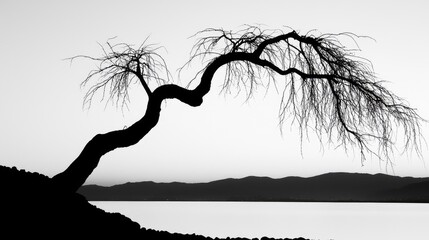 Silhouette of a twisted tree by a lake at dawn.