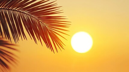 Silhouette of palm leaves against a vibrant sunset.