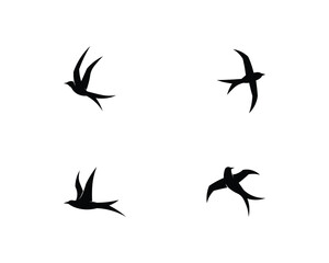 Vector - Vector sign abstract bird in flight Rooster and Chicken