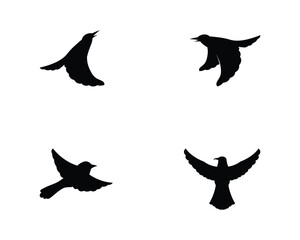 Vector - Vector sign abstract bird in flight Rooster and Chicken