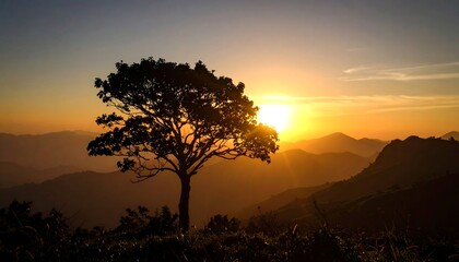 Fototapeta premium Majestic Tree Silhouette at Sunset with Golden Hour over Mountain Landscape.