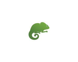 Lizard vector, design, animal, and reptile, gecko