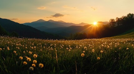 Golden sunset over a mountainous meadow.