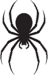black spider silhouette isolated on white