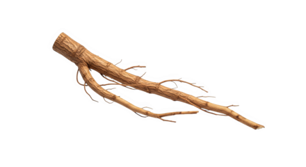 Wooden Branch With Roots 3d Render