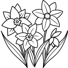 Simple outline drawing of three daffodils and two buds with long green leaves on a white background