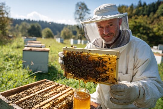Beekeeper working collect honey - Powered by Adobe