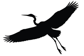 Black Silhouette of a Great Blue Heron Flying with Wings Spread Against White Background