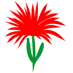 red flower on white background