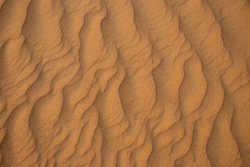 A close-up shot of sand dunes in a Dubai desert creates a pattern-like effect. The evening light changes the colors, making the photograph unique and visually striking.