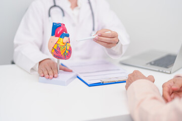 Doctor with Heart anatomy model. Elderly Patient consultation medical health for Cardiovascular...