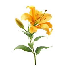 Fototapeta premium vibrant yellow lily flower with green leaves, symbolizing beauty and elegance. This stunning floral arrangement adds touch of nature to any setting