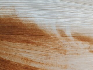 Abstract Palm Leaf Texture: Natural Brown and Beige Lines