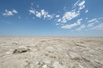 Vast, arid plain under a clear sky