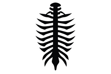 Silhouette of Vertebral Column and Rib Cage Illustration on White Background