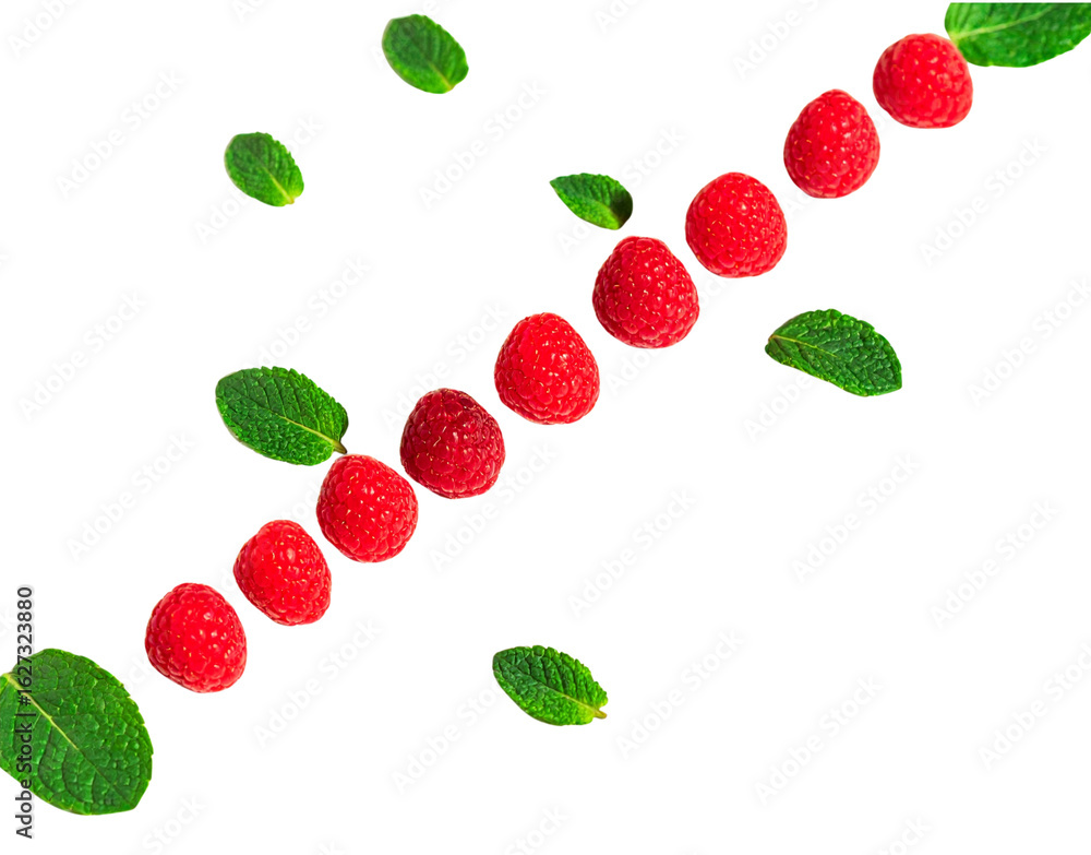 Poster a diagonal line of ripe red raspberries and fresh green mint leaves floating in a dynamic pattern.