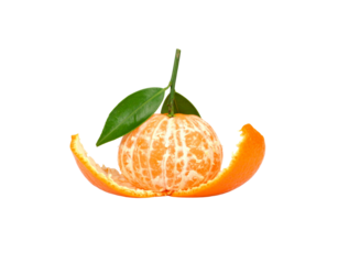 A fresh peeled tangerine with a green stem and leaves sitting inside its curled orange peel.