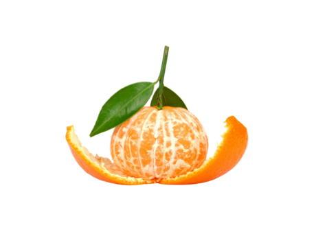 A fresh peeled tangerine with a green stem and leaves sitting inside its curled orange peel.