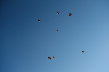 Colorful Kites Flying in Bright Blue Sky