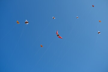 Colorful Kites Flying in Bright Blue Sky