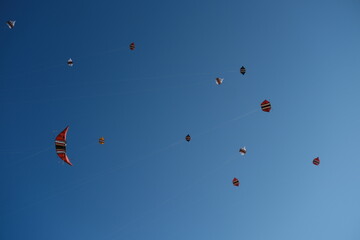 Colorful Kites Flying in Bright Blue Sky