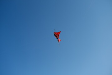 Colorful Kites Flying in Bright Blue Sky