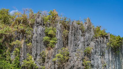Steep karst cliffs against a clear blue sky. There is green tropical vegetation on the sheer, furrowed slopes. Philippines. Palawan.